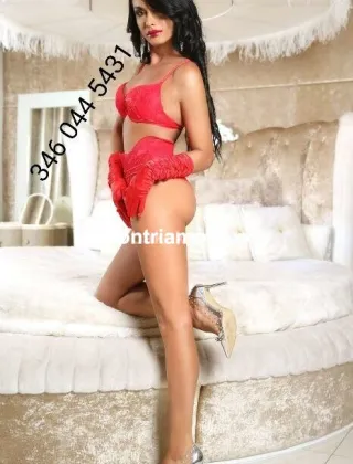 29 - Diana Trans Cosenza - 3460445431