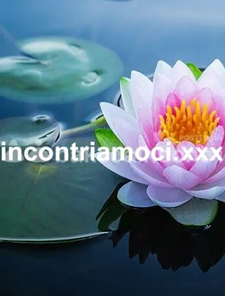 13 - Nexus Wellness Coppie Milano - 3519724868