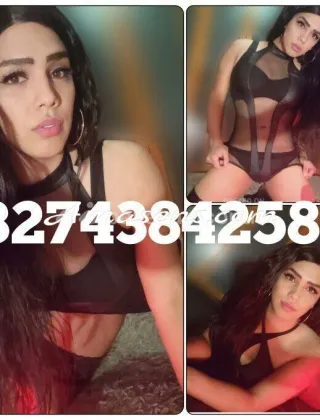 5 - Abril Trans Trento - 3274384258