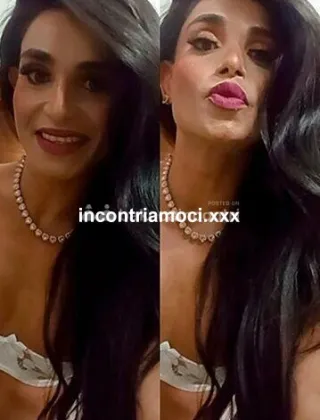 11 - Bruna Trans Vicenza - 3508393907