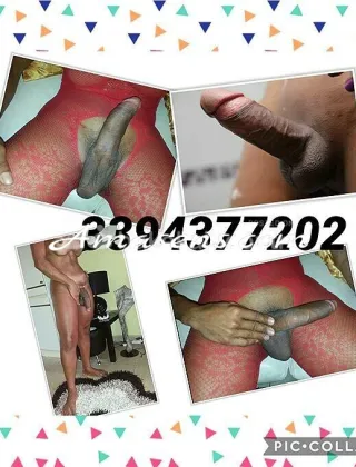 5 - Marina Trans Pescara - 3394377202
