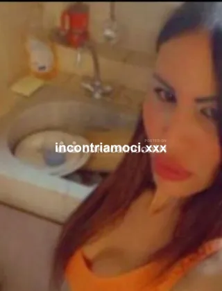 12 - Sharon Trans Caserta - 3508017957