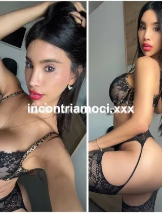 22 - Play Boy Trans Perugia - 3315824143
