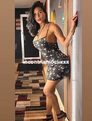 12 - Vania Trans Cuba Xxl Trans Cremona - 3401348255