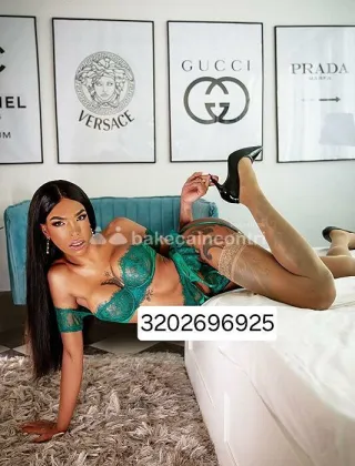 17 - Trans Torino - 3202696925