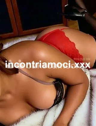15 - Stella Trans Bologna - 3511844816