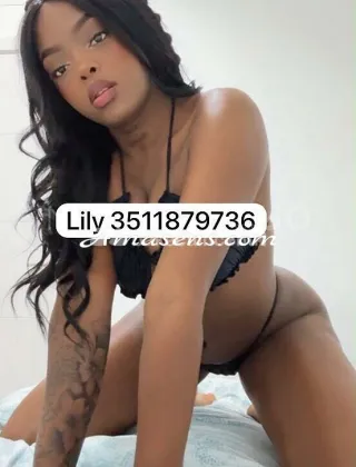 3 - Lily Escort Torino - 3511879736
