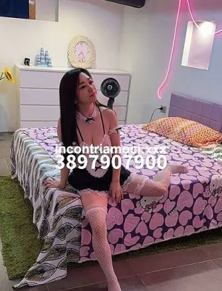 5 - .... Escort Treviso - 3897907900