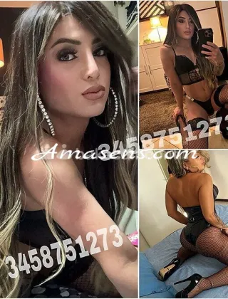 9 - Sofy Trans Lucca - 3458751273