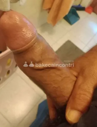 21 - Tania Trans Sassari - 3510989621
