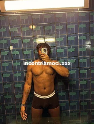 3509113369 - Stallone Africano 30 Coppie 🇿🇦 Sudafricana Roma