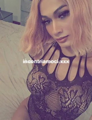 27 - Amanda Trans Piacenza - 3883798623