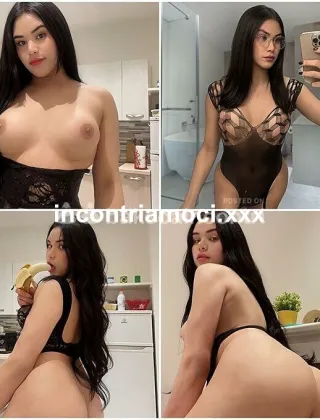 11 - Lola Trans Cagliari - 3273794819