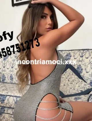 26 - Sofy Trans Lucca - 3458751273