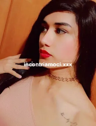 6 - Mia Trans Valle d'aosta - 3295569050