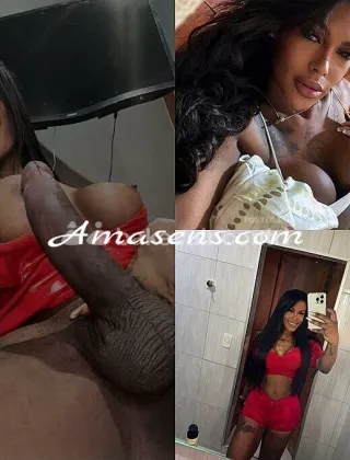 10 - Lesly Trans Bari - 3511928976
