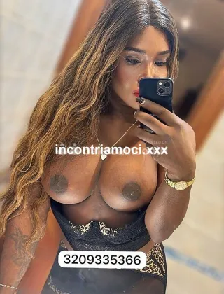 26 - Paloma Trans Caserta - 3209335366