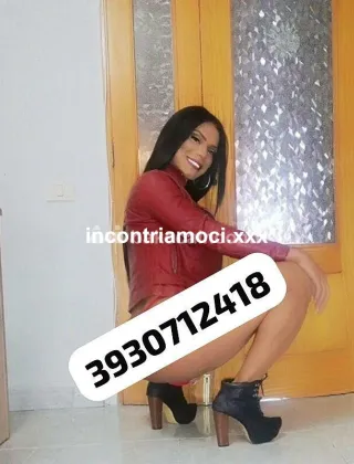 3930712418 - Lorens Star 29 Trans Varese
