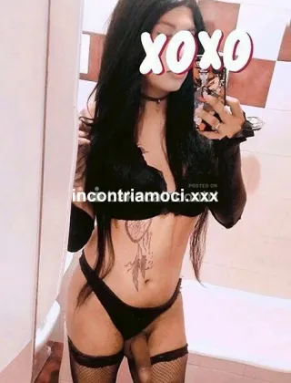 1 - Nickol Trans Lucca - 3509667240