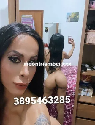 14 - Nicolly Trans Bergamo - 3891353499