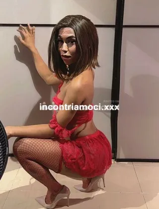 31 - Luyza Trans Genova - 3317469113