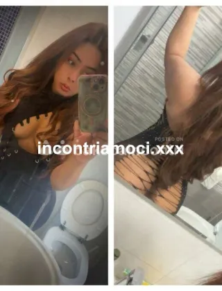 11 - Lia Trans Torino - 3284484815