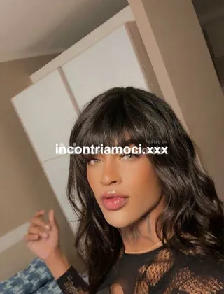 3520624467 - Talia 20 Trans Rovigo