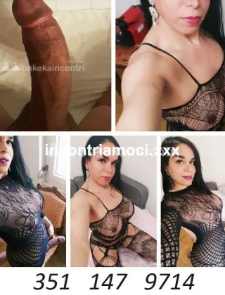 7 - Rachele Trans Como - 3511479714