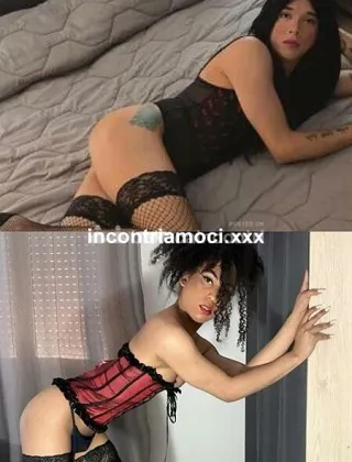 13 - Luyza Trans Genova - 3317469113
