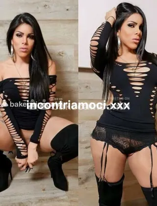 6 - Alondra Trans Ancona - 3508697300