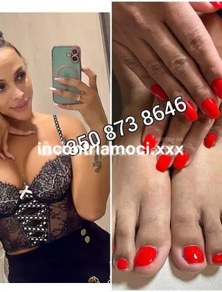 17 - Maila Trans Benevento - 3508738646