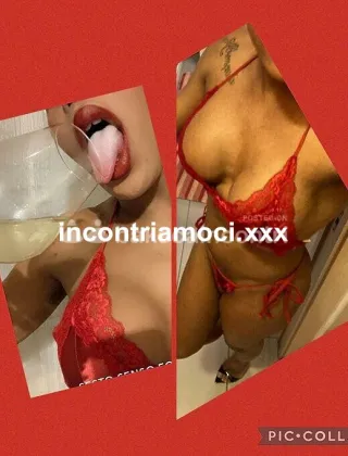 34 - Ary Ribeiro Trans Bologna - 3751290229