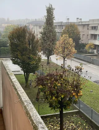 3920372032 - Superp0M P 62 Milf Rovigo