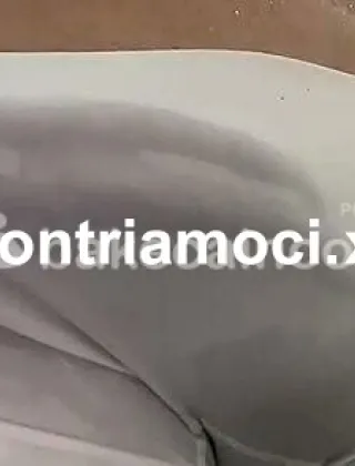 35 - Bruna Trans Verona - 3286511329