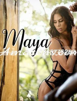 32 - Maya Trans Perugia - 3208626518