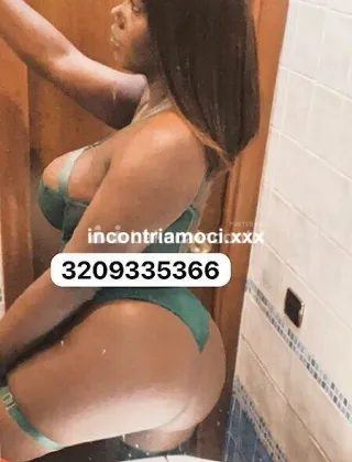 18 - Paloma Trans Caserta - 3209335366
