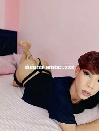 11 - Aanto Y Katyuska Trans Como - 3508644601