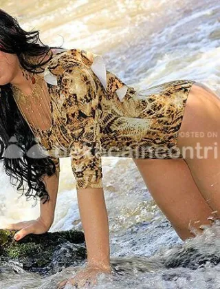 6 - Katriny Lima Trans Firenze - 3899961601