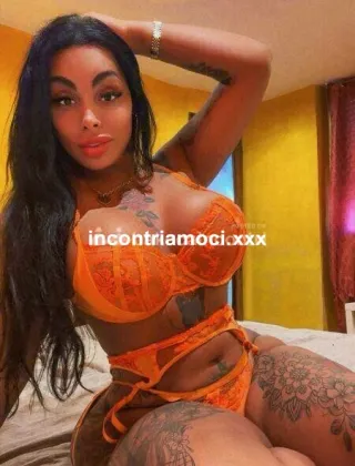 17 - Silvia Trans Brescia - 3274744893