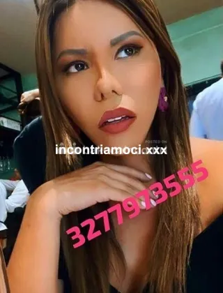 28 - Karlita Trans Pavia - 3277973555
