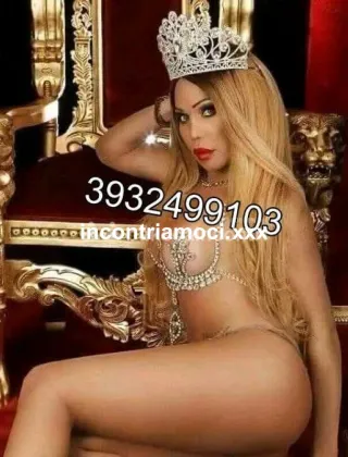 32 - Pamela Trans Teramo - 3932499103