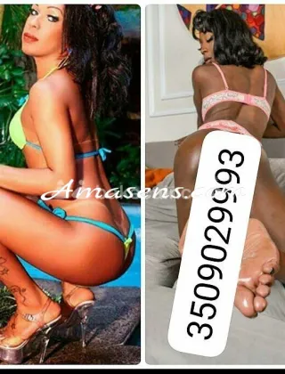 8 - Brenda Trans Perugia - 3509029993