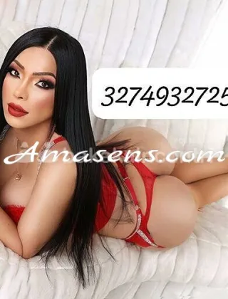 31 - Trans Latina - 3274932725