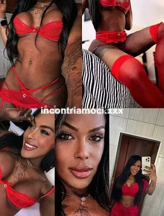 34 - Lesly Trans Bari - 3511928976