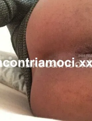 31 - Trans Trans Pescara - 3347268865