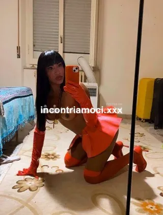 5 - Miss Pocahontas Trans Perugia - 3398059304