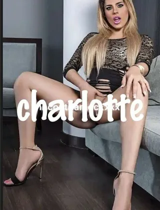 10 - Charlotte Trans Venezia - 3511486390