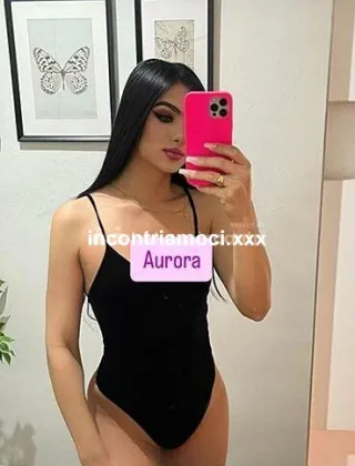 17 - Aurora Trans Pistoia - 3245895114