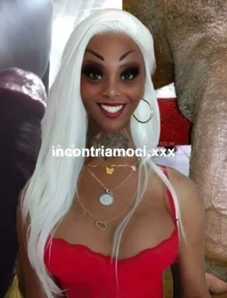 13 - Virna Trans Milano - 3494393969
