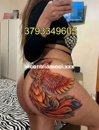 13 - Coppia Trans Milano - 3793349605